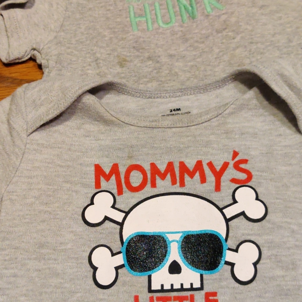 Size 24M Boys 23 Piece Shorts/Tee/Onesie Bundle - Picture 13 of 13